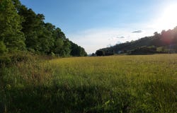 Tbd MAIN ST Lot 6, Sneedville, TN 37869