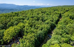 Lots 18,19,& 20 Bear Rd, Tallassee, TN 37878