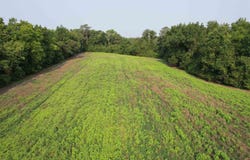 85+/- Acres - Antler Dr, Johnsonville, SC 29555
