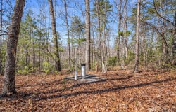 Forester Lane unit: 21, 24, & 25, Mill Spring, NC 28756
