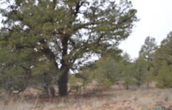 Old Well lot: 216 And 217, Candy Kitchen, NM 87357