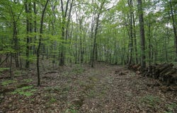 Washington St, Hudson, MA 01749