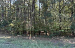 AIRLINE ROAD lot: 5, Dubach, LA 71235