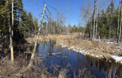 Bog Road lot: 21, Benton, ME 04901