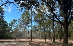 13052 Capace Rd, Independence, LA 70443