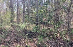 Hickory Cir, Alexander City, AL 35010