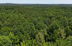 0 County Rd 17, Tuskegee, AL 36083
