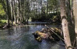 3180 Woodcock Rd, Sequim, WA 98382