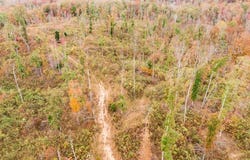 MOUSE TAIL Road, Parsons, TN 38363