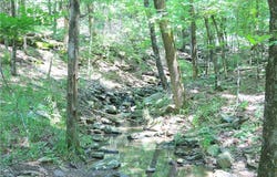 000 Hale Mountain  RD, Canehill, AR 72717
