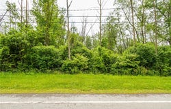 Filkins Road, Arcadia, NY 14513
