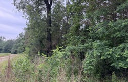 Hall Road, Natchez, MS 39120