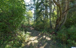 9999 Discovery Road, Port Townsend, WA 98368