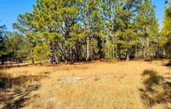 Coastal Lane, Hartsville, SC 29550