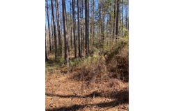 00 Oral Church Rd., Sumrall, MS 39482