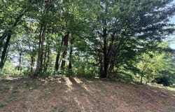 147 Raptor Way, Landrum, SC 29635