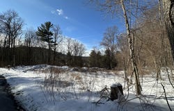 13 Meadow Street, New Hartford, CT 06057
