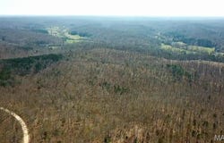 Tract #1 Lake Road, Silva, MO 63964