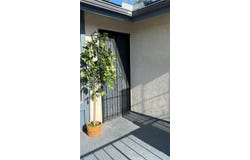 338 E Meats, Orange, CA 92865