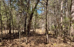 9276 BLACK PINE LN, Minocqua, WI 54548