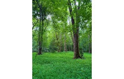 00 Landis Road, Winnsboro, SC 29180