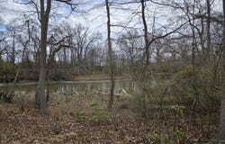 248 HARBOR LN, QUEENSTOWN, MD 21658