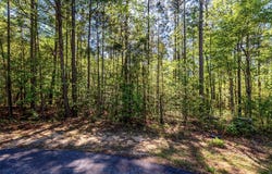 Pine Ridge Way lot: E-30, Salem, SC 29676