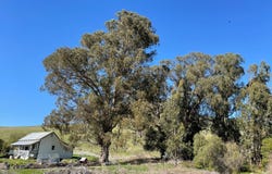 1498 O’Connor Way, San Luis Obispo, CA 93405