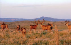14651 County Road 3, Craig, CO 81625