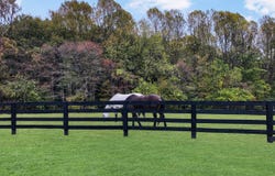 1701 Cooper Ridge Road, Columbia, KY 42728