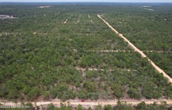 SW 57TH Avenue, Interlachen, FL 32148