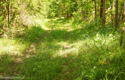 Graves Road, Liberty, MS 39645