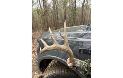 Bagasha Road, Vaiden, MS 39176