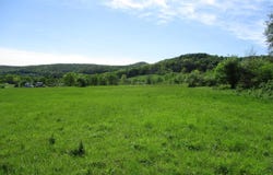 Horse Run Road, Shinglehouse, PA 16748