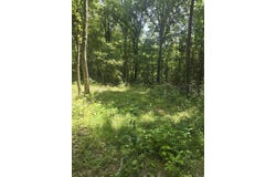 1084 Pickens Chapel, Letona, AR 72143