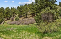 Dunraven Glade Rd, Glen Haven, CO 80532