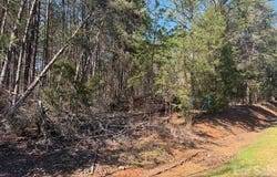 12.68 Acre 99 Road, Blair, SC 29015