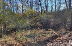 9951 Southlawn Circle, Jerome, MI 49249