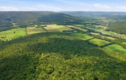 252 Acres County Road 106, Paint Rock, AL 35764