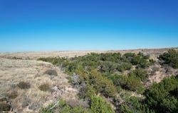 Camp Springs Rd, Snyder, TX 79549