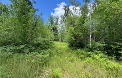 7067 Brown Road, Automba Twp, MN 55757