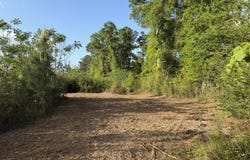 8 Acres Hwy 48 E, Sandy Hook, MS 39478