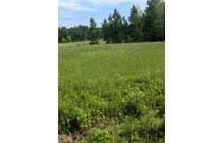 Lot 2 165th Avenue, Stanley, WI 54768