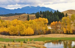303 Heron Road, Eureka, MT 59917