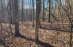 id 22 Shady Grove Rd, HOLLADAY, TN 38341