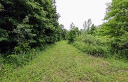 27015 50th ST, Bangor, MI 49013