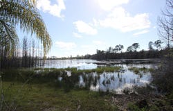 2037 WATERSEDGE DRIVE, DELTONA, FL 32738