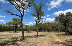 County Road 529, Mullin, TX 76864