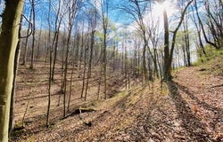23584 Conrad Road, South Bloomingville, OH 43152