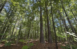 353 Parham, Warm Springs, GA 31830